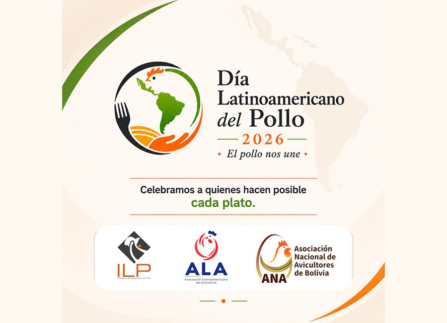 Día Latinoamericano del Pollo se celebra este viernes con foco en seguridad alimentaria y desarrollo regional